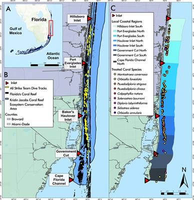 Broadscale coral disease interventions elicit efficiencies in endemic disease response